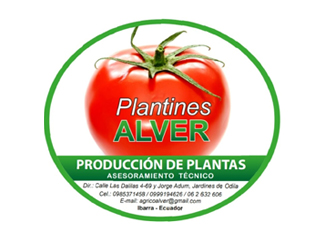 Plantines Alver